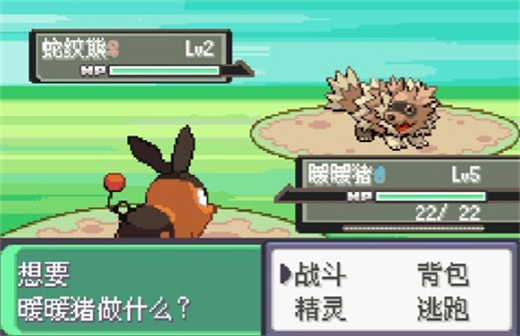 口袋妖怪漆黑的魅影