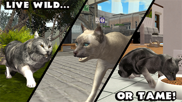 终极猫模拟器破解版