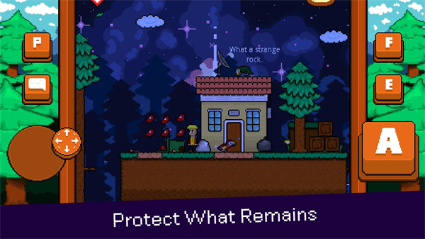 最后的金刚鹦鹉