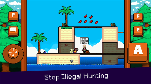 最后的金刚鹦鹉