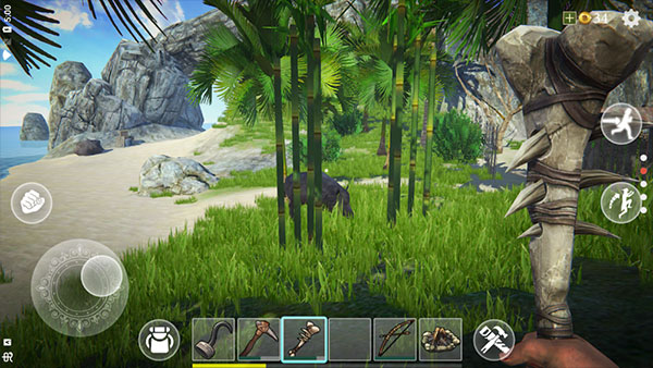 最后的海盗岛屿生存汉化版