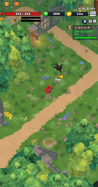 永恒的英雄破解版