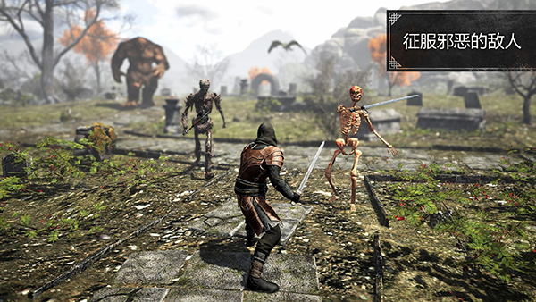 植物大战僵尸卡牌肉鸽